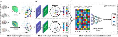 Multi-Scale Graph Representation Learning for Autism Identification With Functional MRI